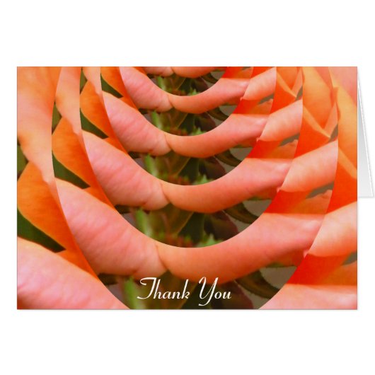 Path of Love_ Cards (Front Horizontal)