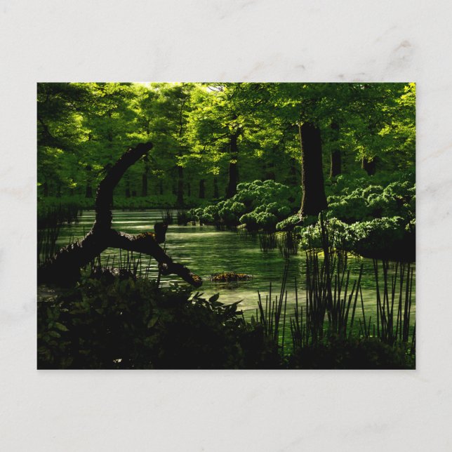 Path of Peacefulness Postcard (Front)