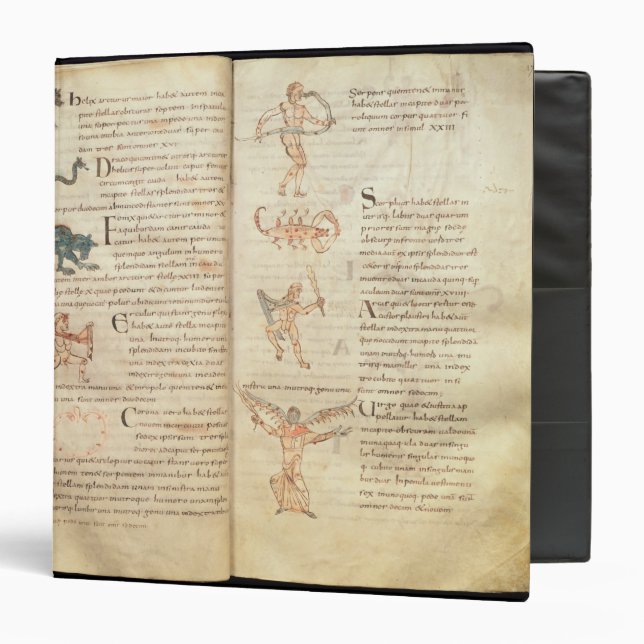 Path of the moon across the constellations 3 ring binder (Front/Inside)