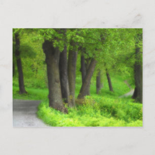 Path Postcard