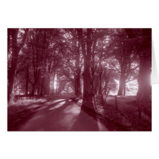 PATH THAT LEADS TO HOME CARDS