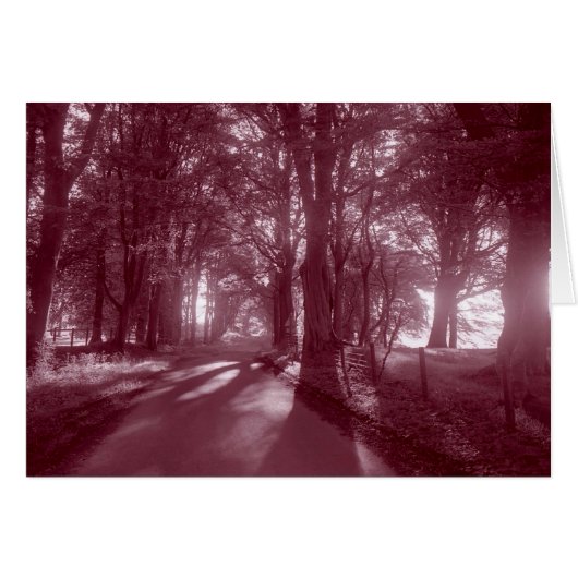 PATH THAT LEADS TO HOME CARDS (Front Horizontal)