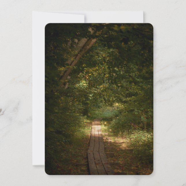 Path through forest holiday card (Front)