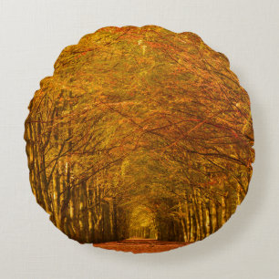 Path through the forest in autumn round pillow