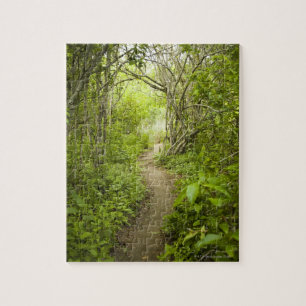 Path through the forest jigsaw puzzle