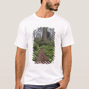 Path through the giant redwood trees shrouded 2 T-Shirt