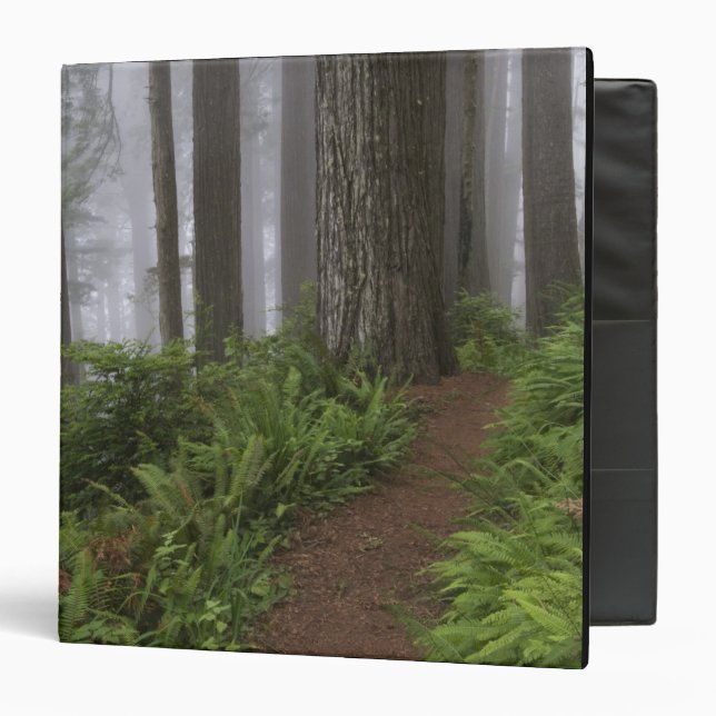 Path through the giant redwood trees shrouded 3 ring binder (Front/Inside)