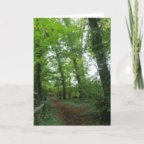 Path through the Green Forest Greeting Card