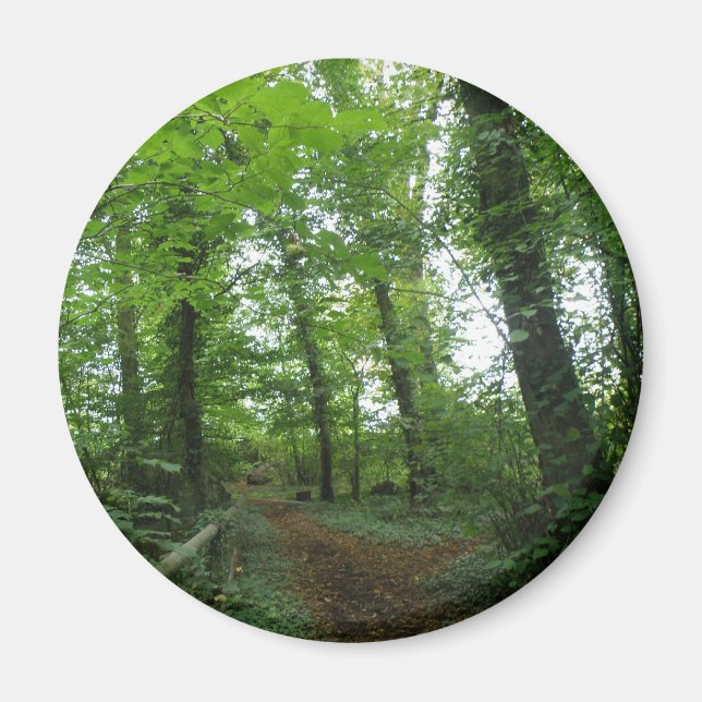 Path through the Green Forest Magnet (Front)