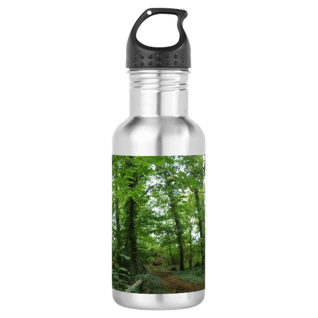 Path through the Green Forest Stainless Steel Water Bottle (Front)