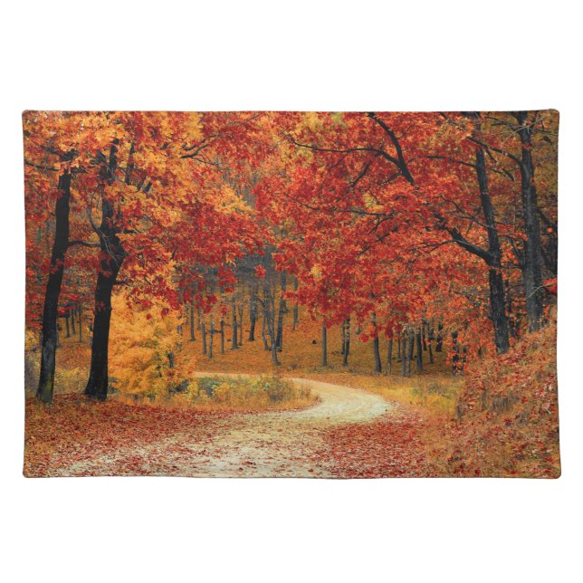 Path Through the Trees in Autumn Cloth Placemat (Front)