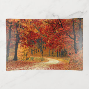 Path Through the Trees in Autumn Trinket Tray