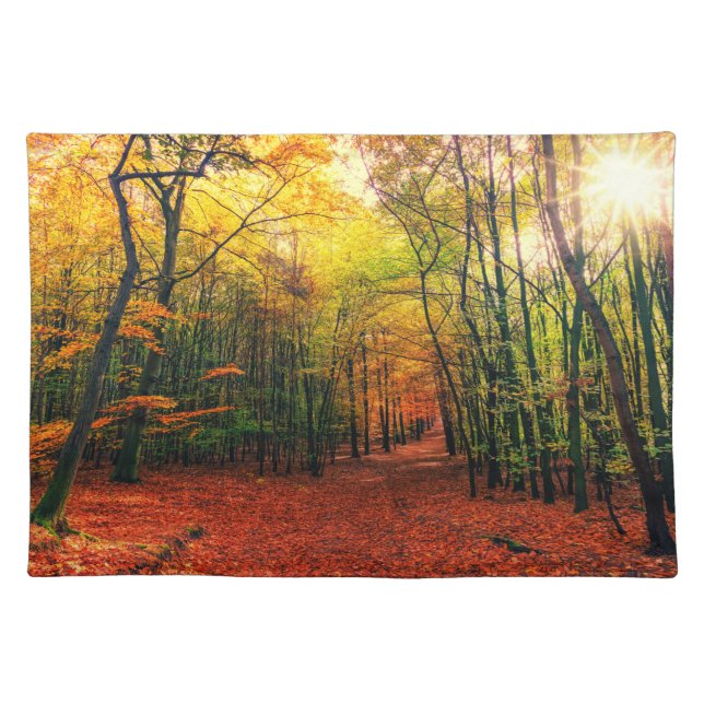 Path Through the Trees in Late Autumn Cloth Placemat (Front)