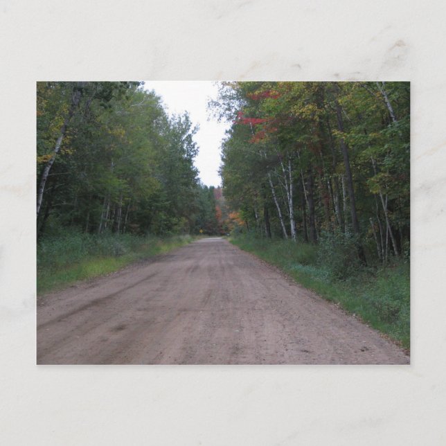 Path Through the woods Postcard (Front)