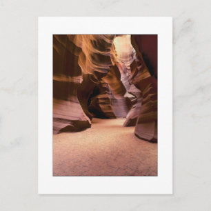 "Path Through Time" Postcard