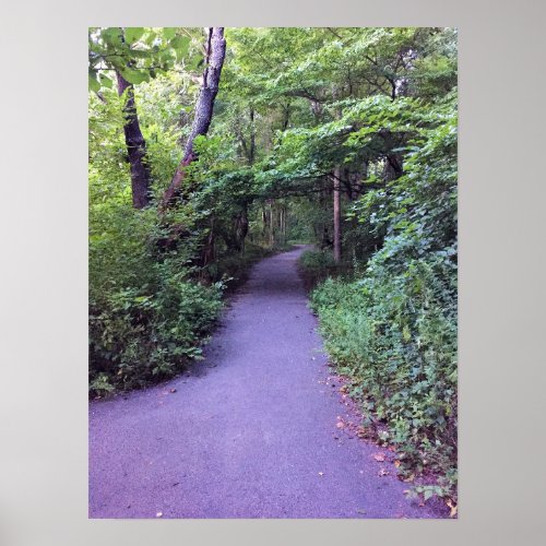 Path Through Woods Poster