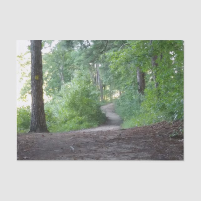 Path thru a forrest tissue paper (Front)