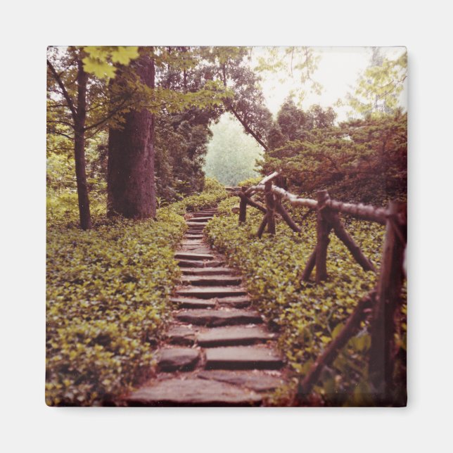 Path To Light Magnet (Front)