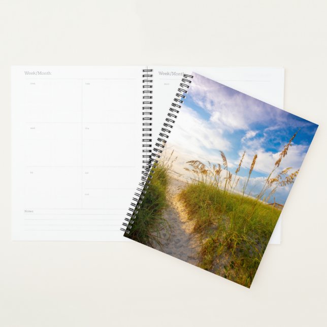 Path to the Beach Planner (Display)