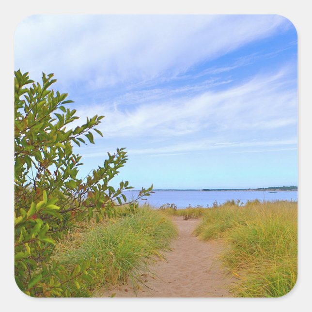 Path To The Beach Sticker (Front)