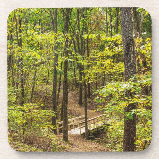 Path To The Bridge Beverage Coaster (Front)