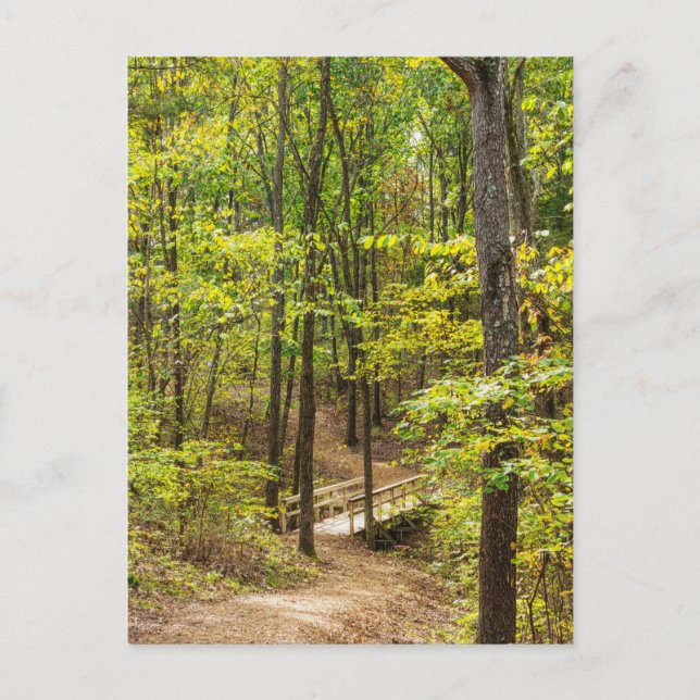 Path To The Bridge Postcard (Front)