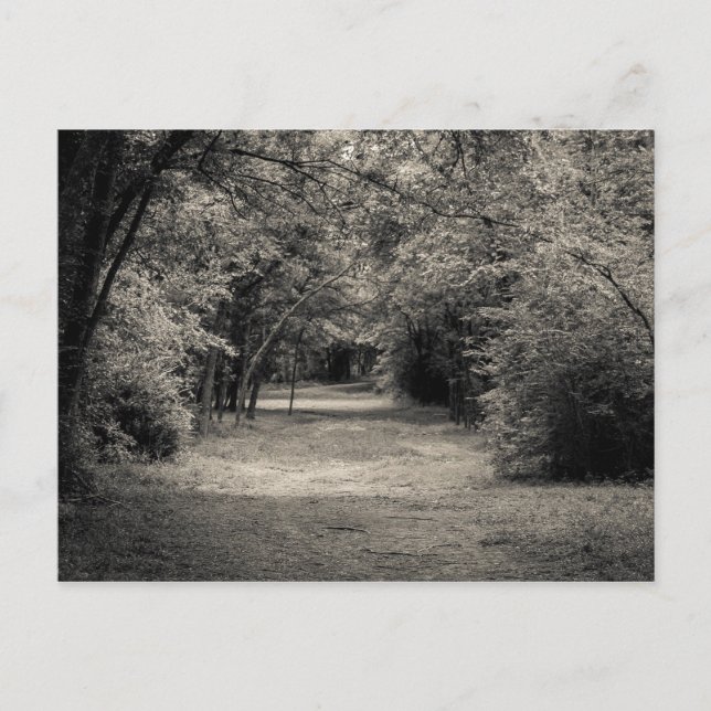 Path to the Unknown Postcard (Front)