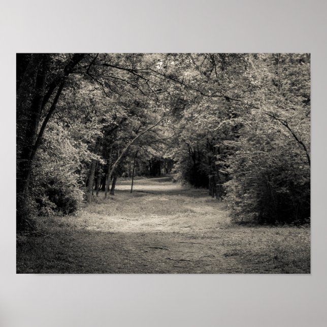 Path to the Unknown Poster (Front)