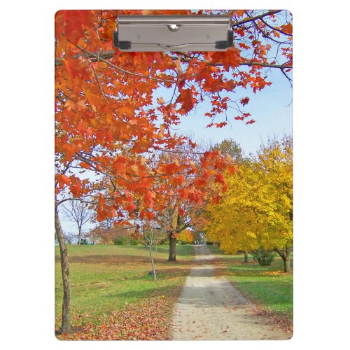 Path Trees Autumn Fall Colored Leaves         Clipboard