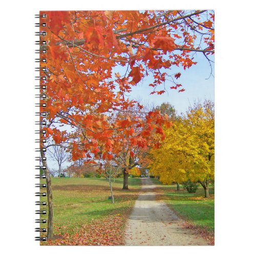 Path Trees Autumn Fall Colored Leaves        Notebook