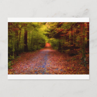 Paths in Nature Postcard