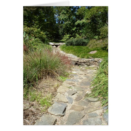 Pathway Cards (Front)