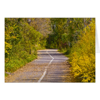 Pathway Cards