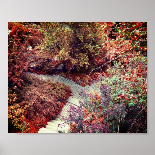 Pathway Fall Colors Foliage Poster