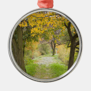 Pathway in Autumn Metal Ornament