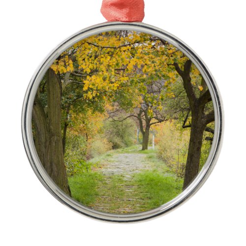 Pathway in Autumn Metal Ornament