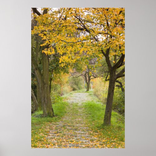 Pathway in Autumn Poster
