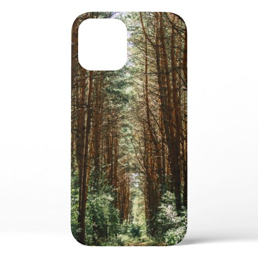 PATHWAY IN FOREST iPhone 12 CASE