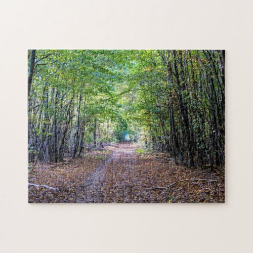 Pathway in the autumn forest Saint Germain Forest Jigsaw Puzzle