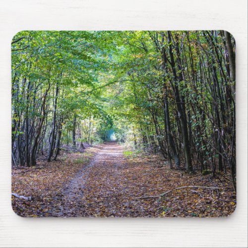 Pathway in the autumn forest Saint Germain Forest Mouse Pad