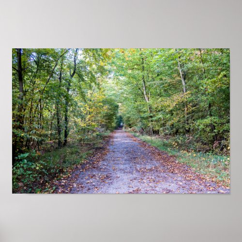 Pathway in the autumn forest Saint Germain Forest Poster