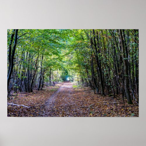 Pathway in the autumn forest Saint Germain Forest Poster