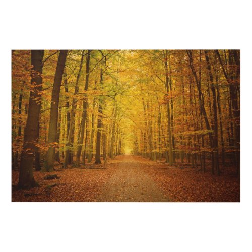 Pathway in the autumn forest wood wall art