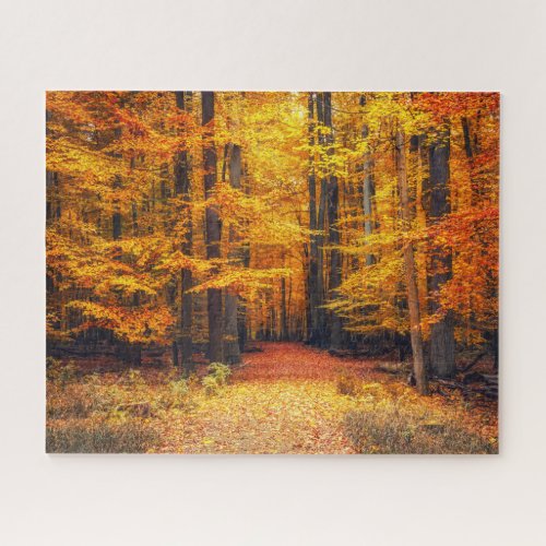 Pathway In The Autumn Park Jigsaw Puzzle