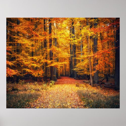 Pathway In The Autumn Park Poster