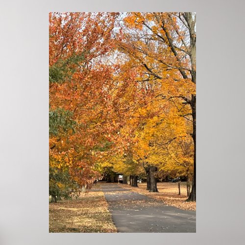 Pathway of Autumn Trees Poster