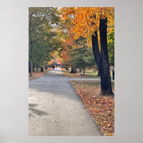 Pathway of Autumn Trees Poster