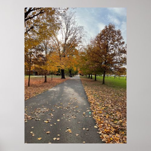 Pathway of Autumn Trees Poster