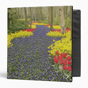 Pathway of Grape Hyacinth, daffodils, and 3 Ring Binder