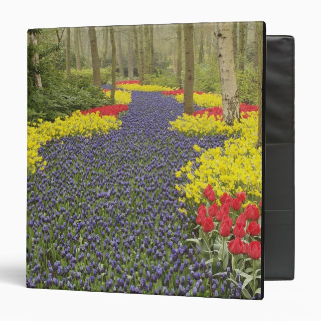 Pathway of Grape Hyacinth, daffodils, and 3 Ring Binder (Front/Inside)